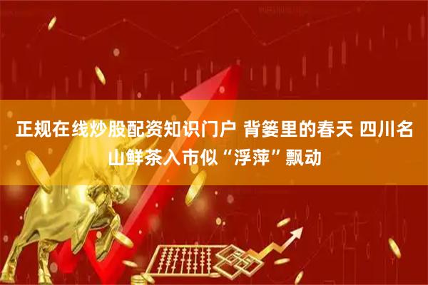 正规在线炒股配资知识门户 背篓里的春天 四川名山鲜茶入市似“浮萍”飘动